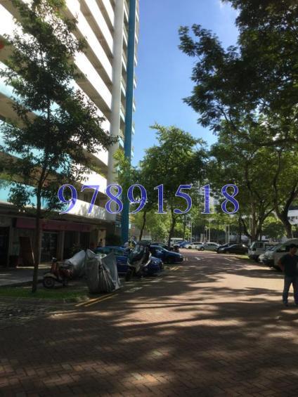 Blk 34 Whampoa West (Kallang/Whampoa), HDB 3 Rooms #129662852